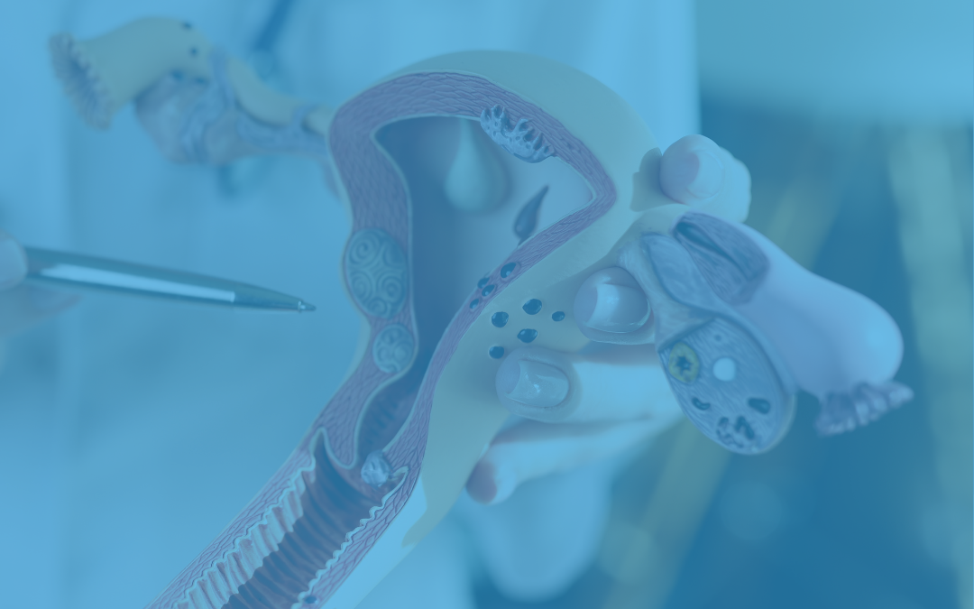 Ginecologa privata a Darfo Boario Terme